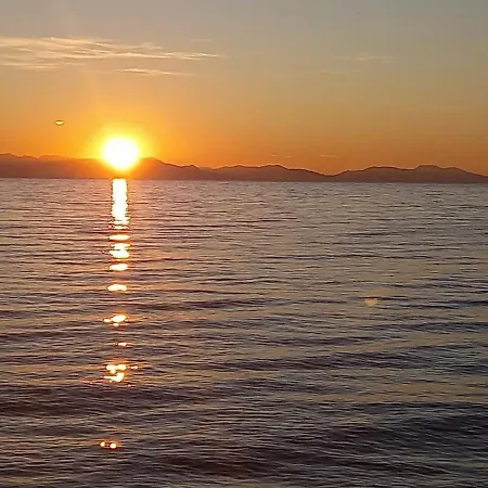 Daire Adi's On The *