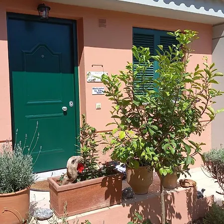 Adi's On The Apartament *